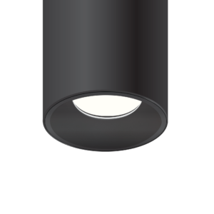 Cylinder Light - 2.5"
